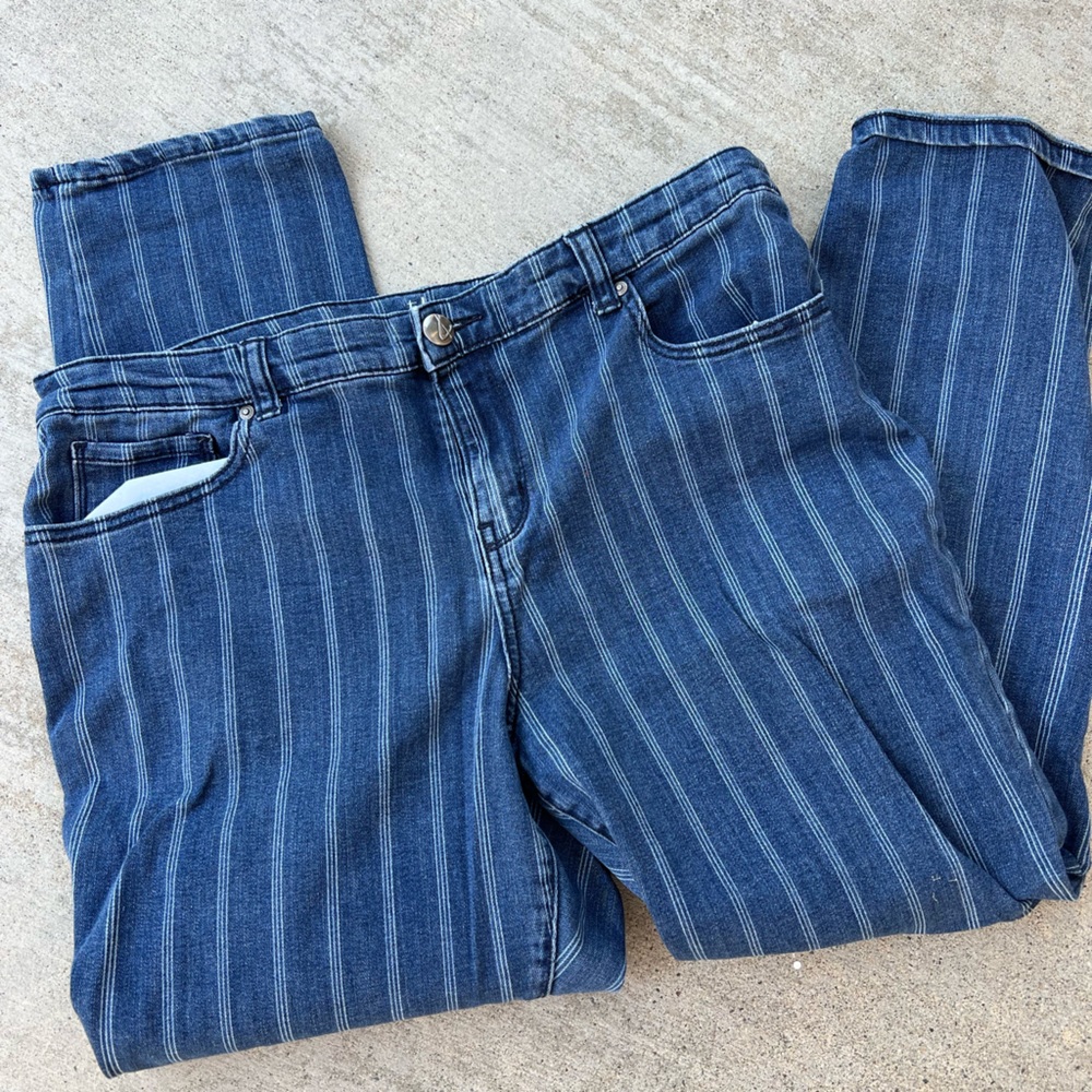 Style & Co Stripped Jeans